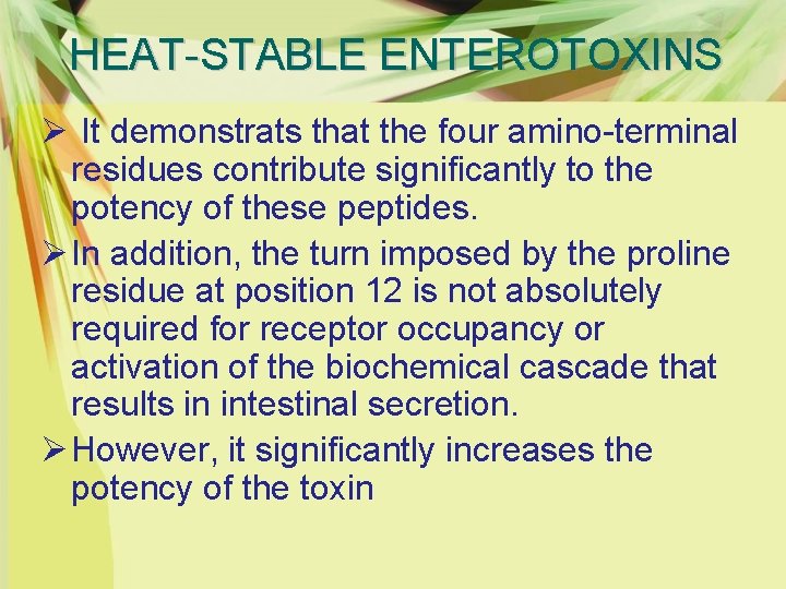 HEAT-STABLE ENTEROTOXINS Ø It demonstrats that the four amino-terminal residues contribute significantly to the