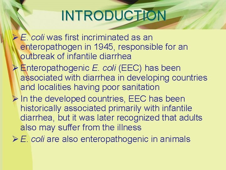 INTRODUCTION Ø E. coli was first incriminated as an enteropathogen in 1945, responsible for