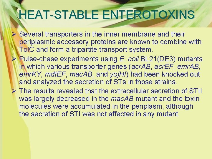 HEAT-STABLE ENTEROTOXINS Ø Several transporters in the inner membrane and their periplasmic accessory proteins