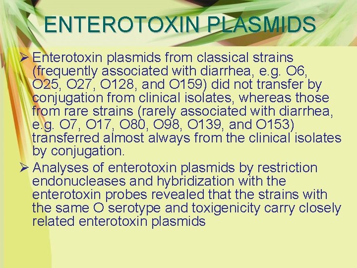 ENTEROTOXIN PLASMIDS Ø Enterotoxin plasmids from classical strains (frequently associated with diarrhea, e. g.