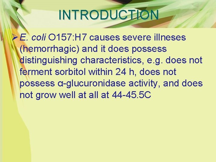 INTRODUCTION Ø E. coli O 157: H 7 causes severe illneses (hemorrhagic) and it