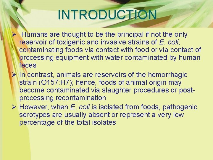 INTRODUCTION Ø Humans are thought to be the principal if not the only reservoir