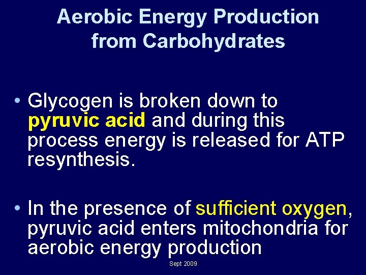 Aerobic Energy Production from Carbohydrates • Glycogen is broken down to pyruvic acid and Aerobic Energy Production from Carbohydrates • Glycogen is broken down to pyruvic acid and