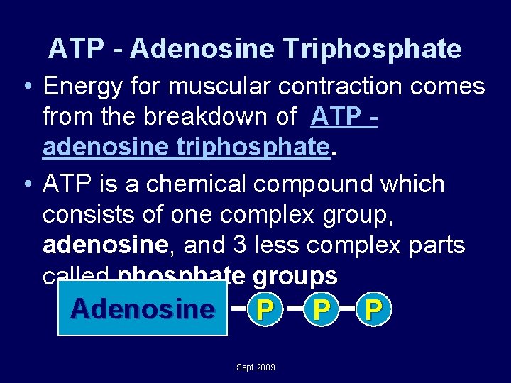 ATP - Adenosine Triphosphate • Energy for muscular contraction comes from the breakdown of ATP - Adenosine Triphosphate • Energy for muscular contraction comes from the breakdown of