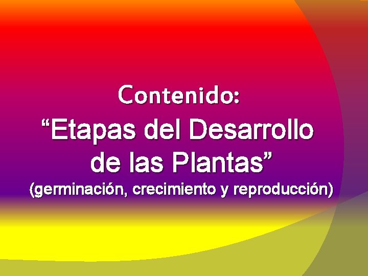 Contenido: “Etapas del Desarrollo de las Plantas” (germinación, crecimiento y reproducción) 