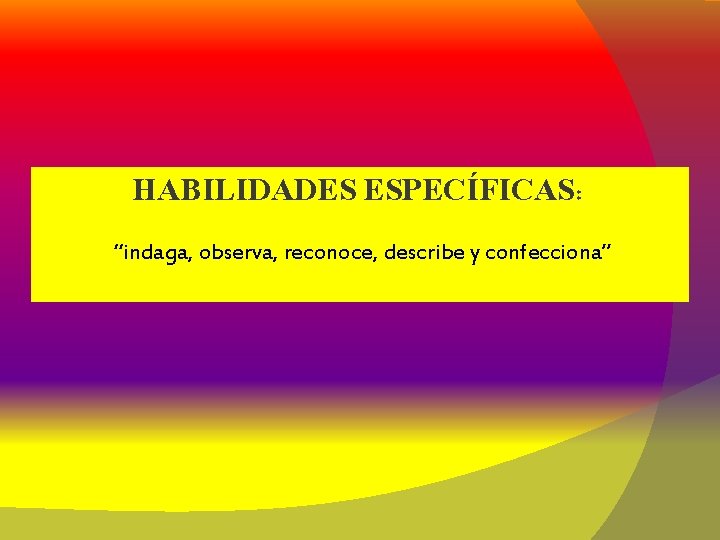 HABILIDADES ESPECÍFICAS: “indaga, observa, reconoce, describe y confecciona” 