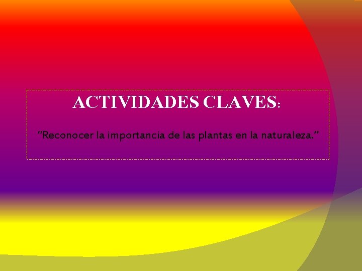 ACTIVIDADES CLAVES: “Reconocer la importancia de las plantas en la naturaleza. ” 