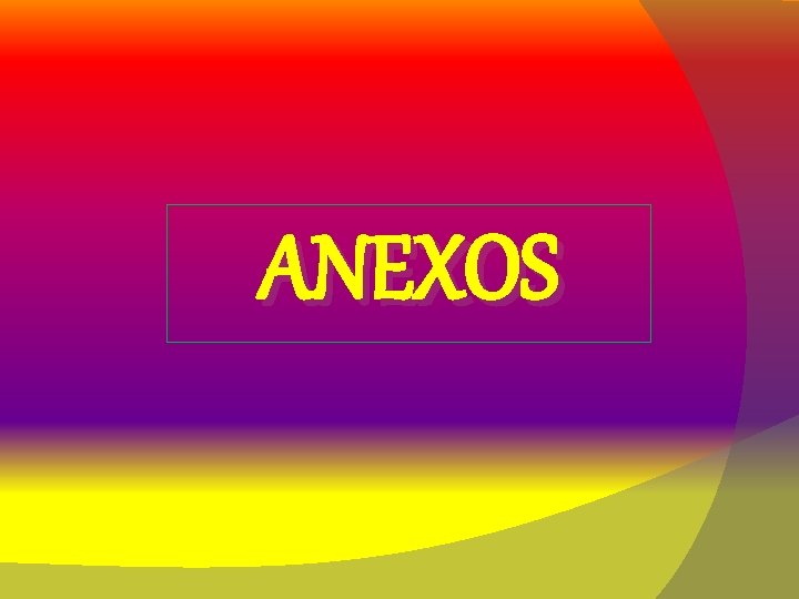 ANEXOS 