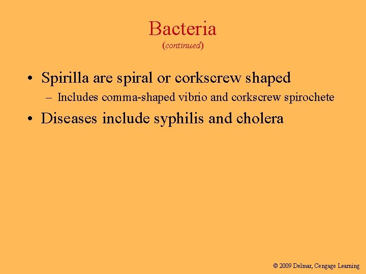 Bacteria (continued) • Spirilla are spiral or corkscrew shaped – Includes comma-shaped vibrio and
