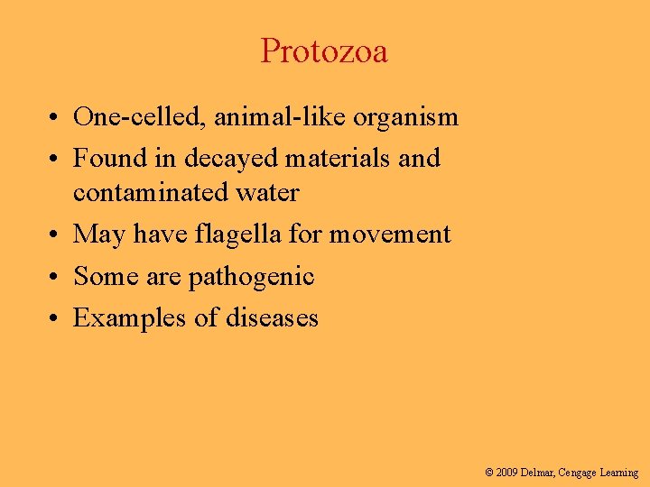 Protozoa • One-celled, animal-like organism • Found in decayed materials and contaminated water •