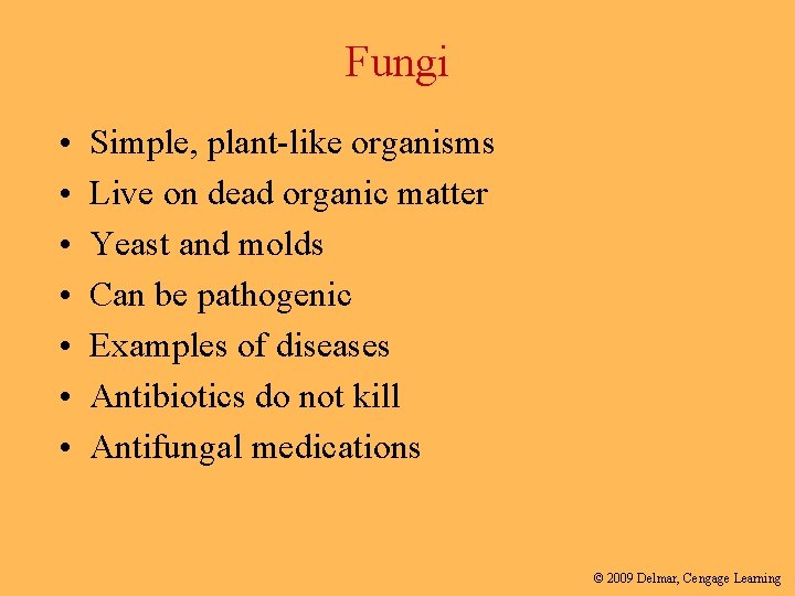 Fungi • • Simple, plant-like organisms Live on dead organic matter Yeast and molds
