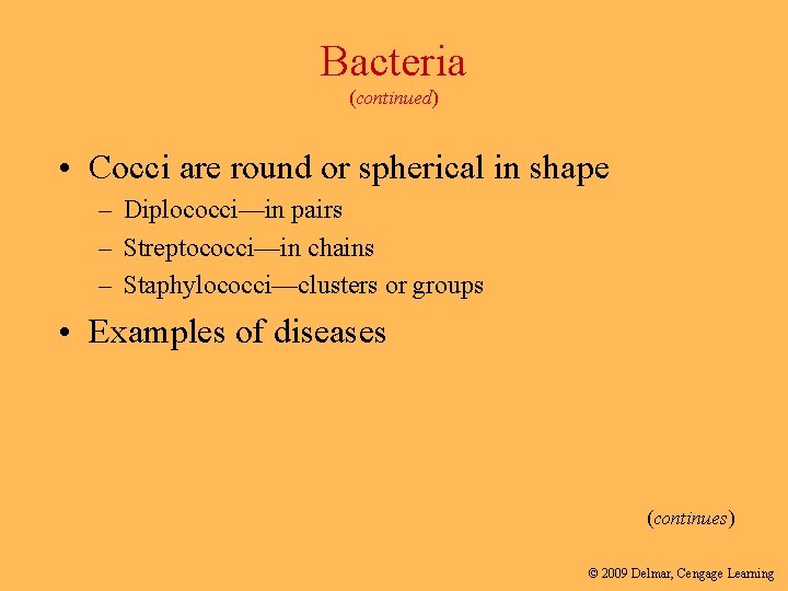 Bacteria (continued) • Cocci are round or spherical in shape – Diplococci—in pairs –
