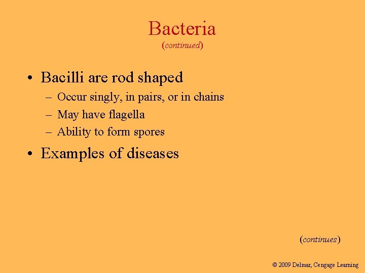 Bacteria (continued) • Bacilli are rod shaped – Occur singly, in pairs, or in