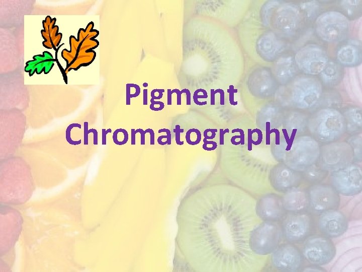 Pigment Chromatography 