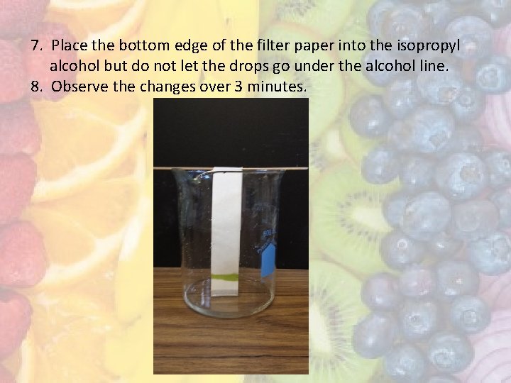 7. Place the bottom edge of the filter paper into the isopropyl alcohol but