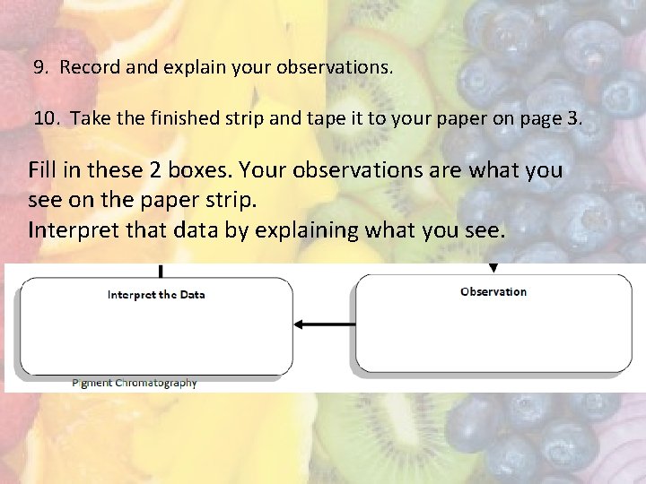 9. Record and explain your observations. 10. Take the finished strip and tape it