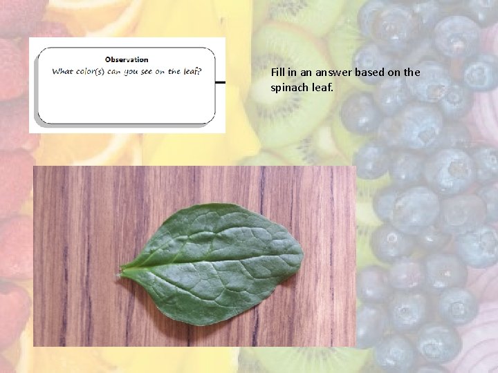 Fill in an answer based on the spinach leaf. 