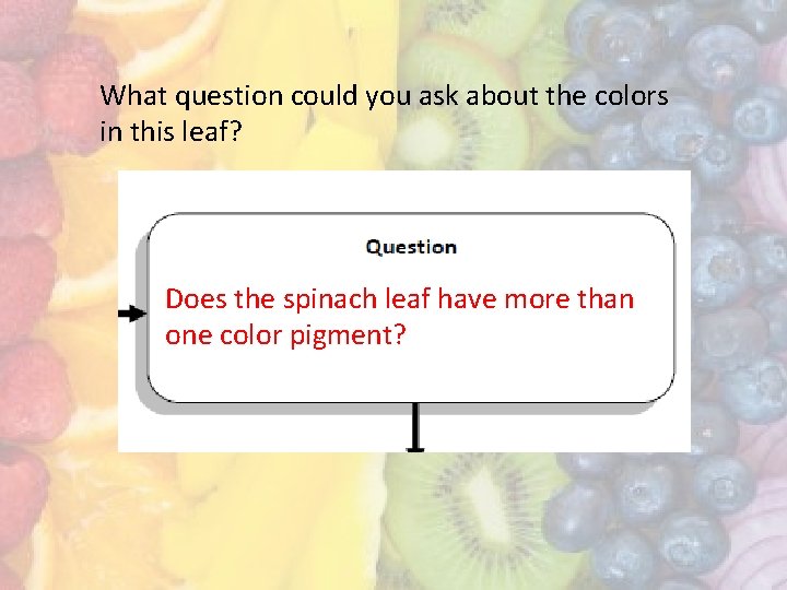 What question could you ask about the colors in this leaf? Does the spinach