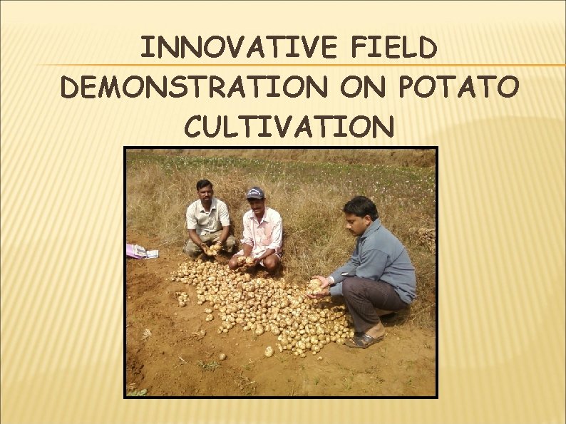 INNOVATIVE FIELD DEMONSTRATION ON POTATO CULTIVATION 
