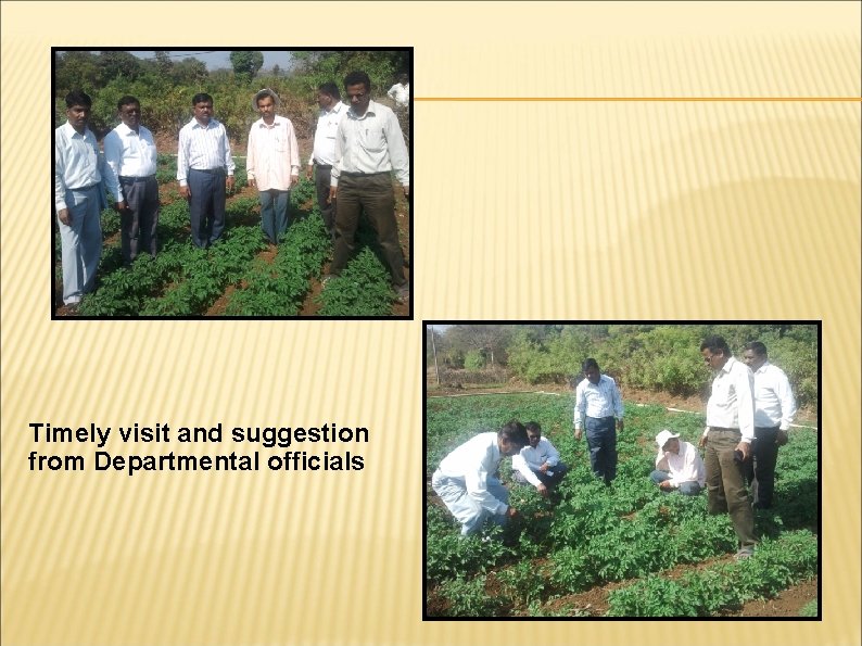 Timely visit and suggestion from Departmental officials 
