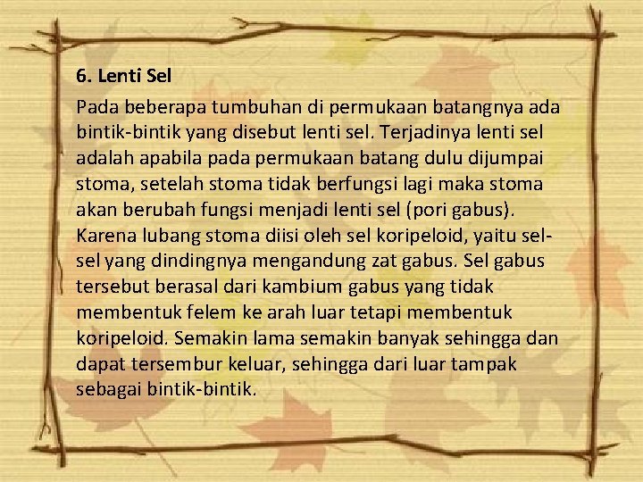 6. Lenti Sel Pada beberapa tumbuhan di permukaan batangnya ada bintik-bintik yang disebut lenti 6. Lenti Sel Pada beberapa tumbuhan di permukaan batangnya ada bintik-bintik yang disebut lenti