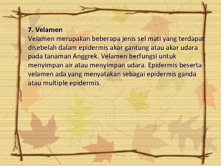7. Velamen merupakan beberapa jenis sel mati yang terdapat disebelah dalam epidermis akar gantung 7. Velamen merupakan beberapa jenis sel mati yang terdapat disebelah dalam epidermis akar gantung