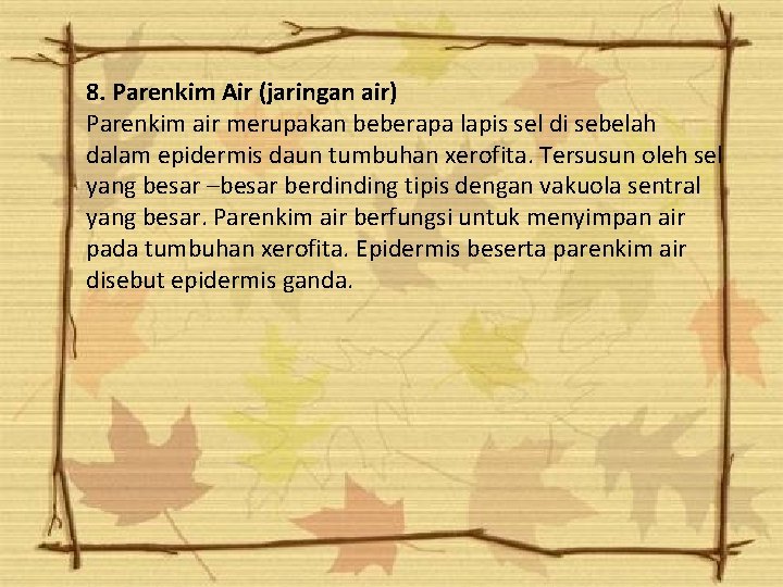8. Parenkim Air (jaringan air) Parenkim air merupakan beberapa lapis sel di sebelah dalam 8. Parenkim Air (jaringan air) Parenkim air merupakan beberapa lapis sel di sebelah dalam