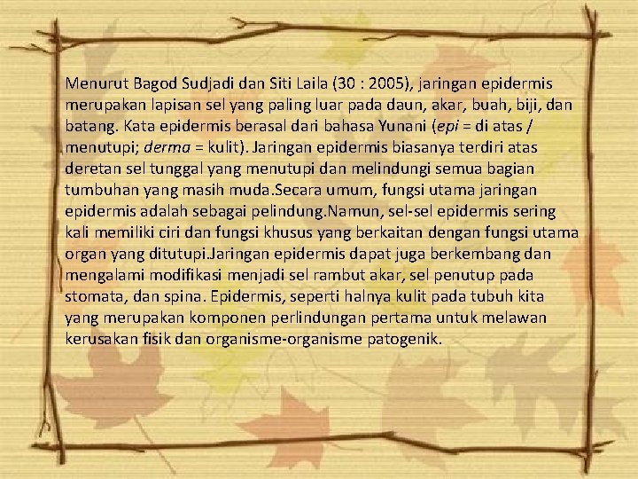 Menurut Bagod Sudjadi dan Siti Laila (30 : 2005), jaringan epidermis merupakan lapisan sel Menurut Bagod Sudjadi dan Siti Laila (30 : 2005), jaringan epidermis merupakan lapisan sel