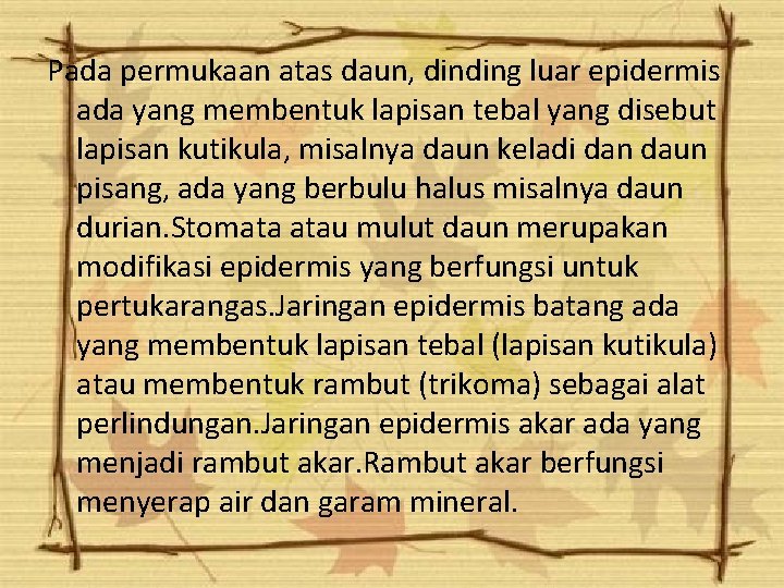 Pada permukaan atas daun, dinding luar epidermis ada yang membentuk lapisan tebal yang disebut Pada permukaan atas daun, dinding luar epidermis ada yang membentuk lapisan tebal yang disebut
