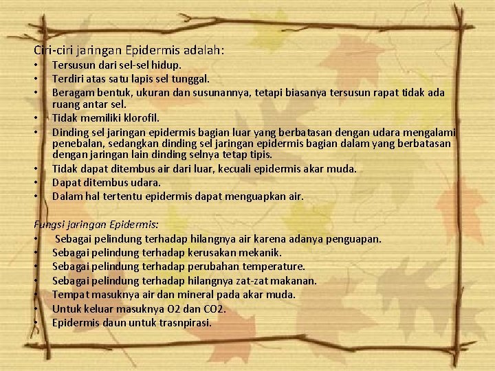 Ciri-ciri jaringan Epidermis adalah: • • • Tersusun dari sel-sel hidup. Terdiri atas satu Ciri-ciri jaringan Epidermis adalah: • • • Tersusun dari sel-sel hidup. Terdiri atas satu