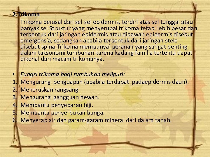2. Trikoma berasal dari sel-sel epidermis, terdiri atas sel tunggal atau banyak sel. Struktur 2. Trikoma berasal dari sel-sel epidermis, terdiri atas sel tunggal atau banyak sel. Struktur