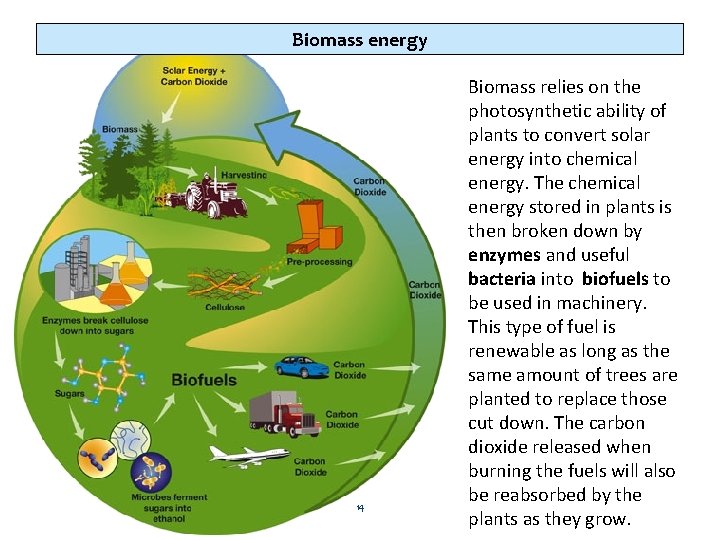 Biomass energy 14 Biomass relies on the photosynthetic ability of plants to convert solar