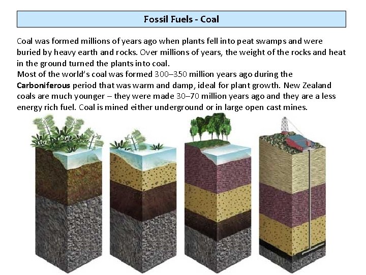 Fossil Fuels - Coal was formed millions of years ago when plants fell into