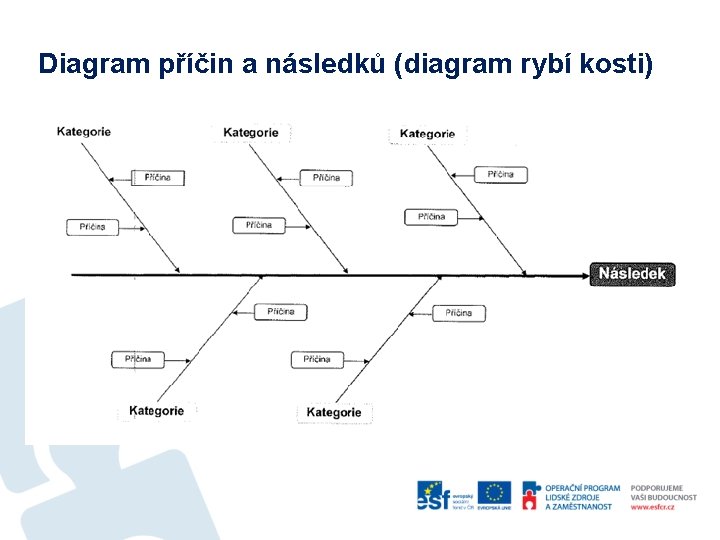 Diagram příčin a následků (diagram rybí kosti) 