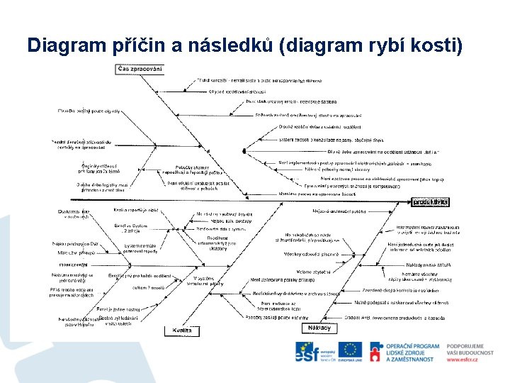 Diagram příčin a následků (diagram rybí kosti) 