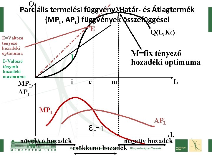 Q Parciális termelési függvény, MHatár- és Átlagtermék (MPL, APL) függvények összefüggései E E=Változó tényező