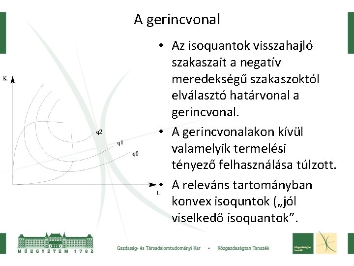 A gerincvonal • Az isoquantok visszahajló szakaszait a negatív meredekségű szakaszoktól elválasztó határvonal a