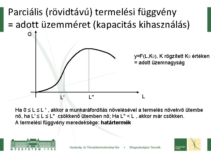 Parciális (rövidtávú) termelési függvény = adott üzemméret (kapacitás kihasználás) Q y=F(L, K 0), K