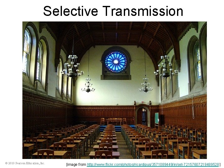 Selective Transmission © 2010 Pearson Education, Inc. [image from http: //www. flickr. com/photos/ricardipus/3571089449/in/set-72157607219489528 ]