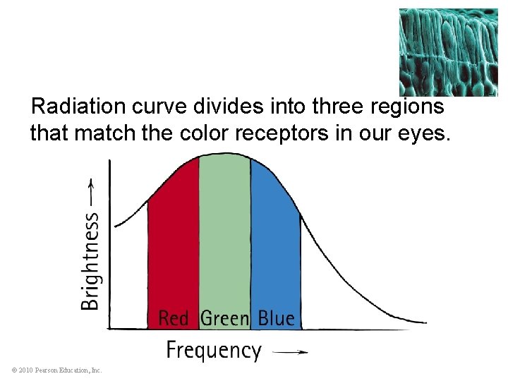 Radiation curve divides into three regions that match the color receptors in our eyes.