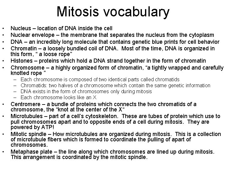 Mitosis vocabulary • • • Nucleus – location of DNA inside the cell Nuclear
