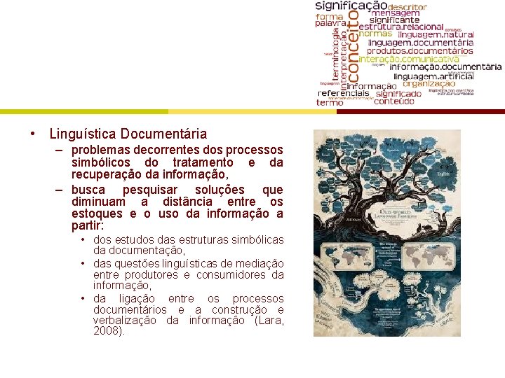  • Linguística Documentária – problemas decorrentes dos processos simbólicos do tratamento e da