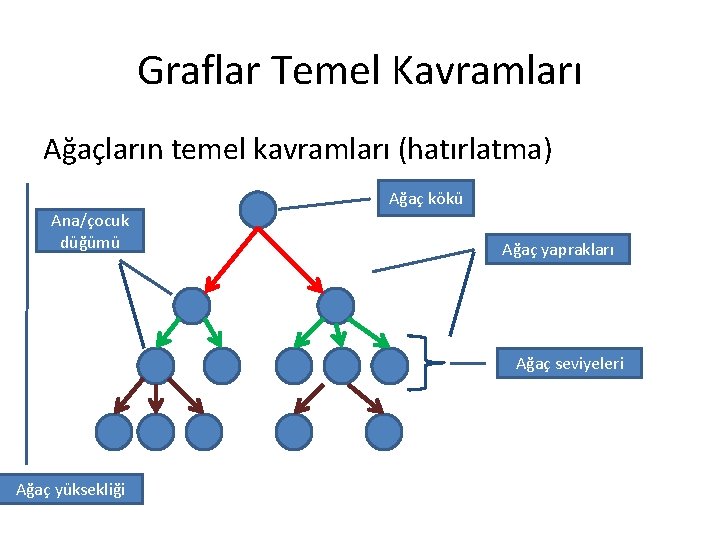 Graflar Temel Kavramları Ağaçların temel kavramları (hatırlatma) Ağaç kökü Ana/çocuk düğümü Ağaç yaprakları Ağaç