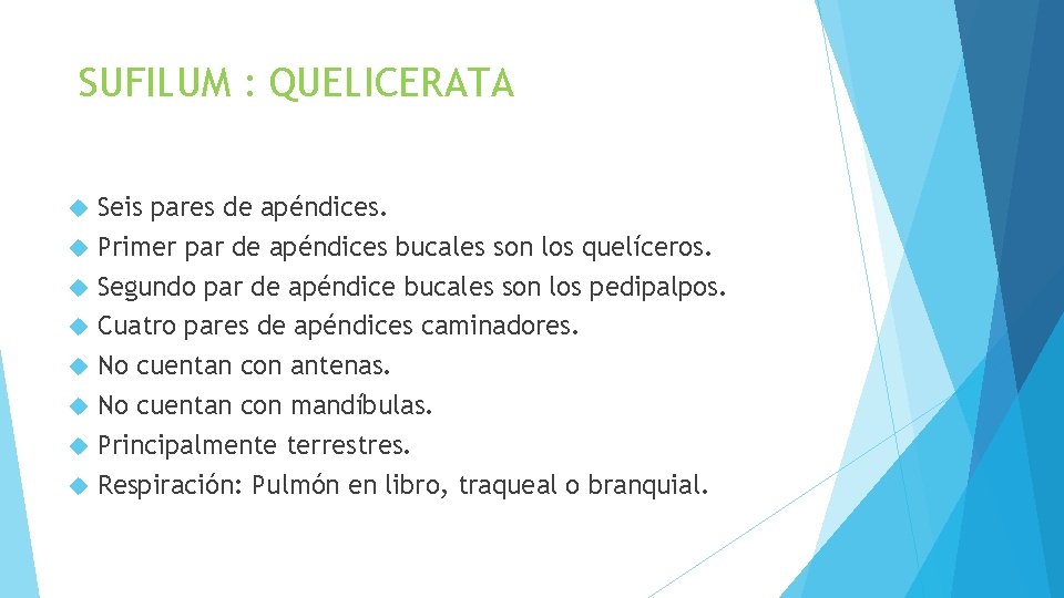 SUFILUM : QUELICERATA Seis pares de apéndices. Primer par de apéndices bucales son los