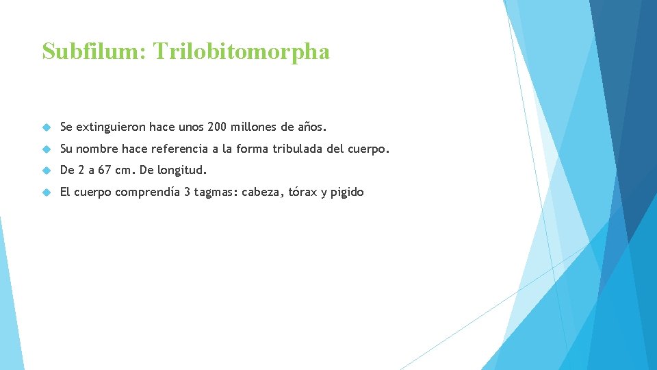 Subfilum: Trilobitomorpha Se extinguieron hace unos 200 millones de años. Su nombre hace referencia