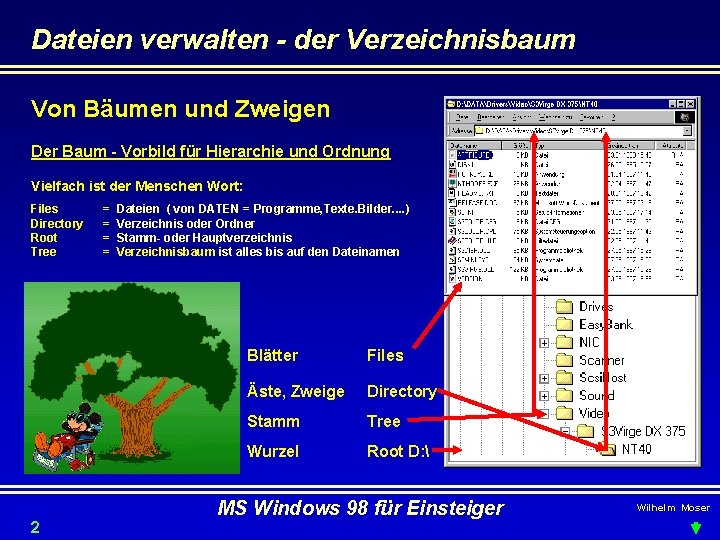 Dateien verwalten - der Verzeichnisbaum Von Bäumen und Zweigen Der Baum - Vorbild für