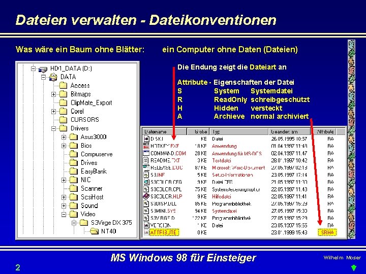 Dateien verwalten - Dateikonventionen Was wäre ein Baum ohne Blätter: ein Computer ohne Daten