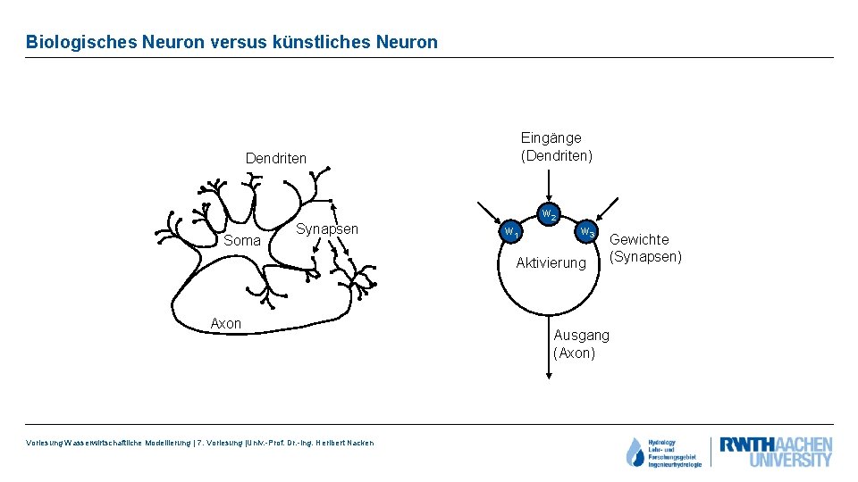 Biologisches Neuron versus künstliches Neuron Eingänge (Dendriten) Dendriten Soma Synapsen w 2 w 1