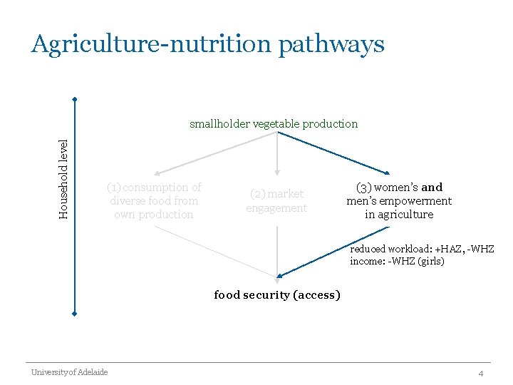 Agriculture-nutrition pathways Household level smallholder vegetable production (1) consumption of diverse food from own