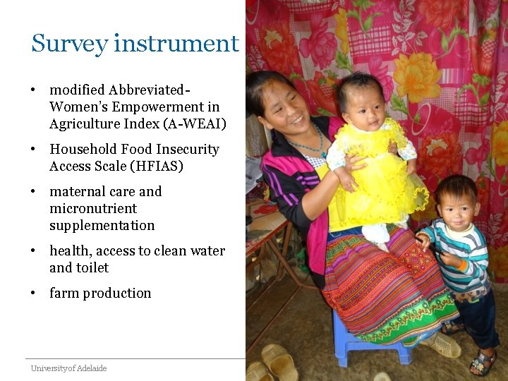 Survey instrument • modified Abbreviated. Women’s Empowerment in Agriculture Index (A-WEAI) • Household Food